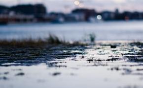 haven-antwerpen-pmv