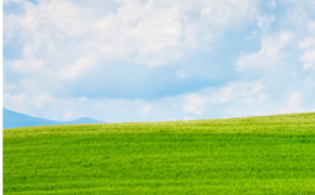 agrosavfe-pmv