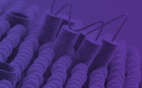 confo_therapeutics-pmv