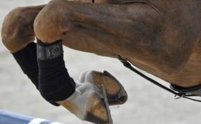 gst-paard-pmv