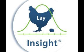 lay-insight-pmv