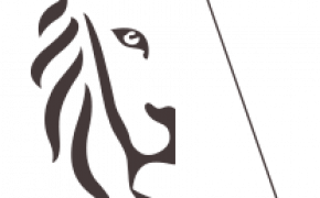 logo-vlaanderen-pmv
